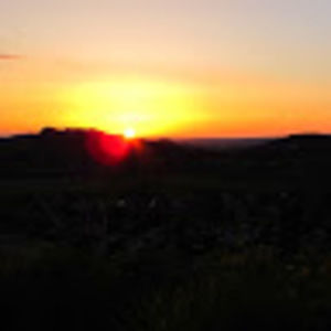 Meet your Posher, Itzel